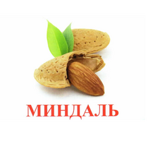 Карточки Домана "Орехи-Ягоды-2" - «globural.ru» - Нижний Тагил