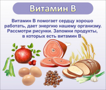 Стенд "Витамин В" - «globural.ru» - Нижний Тагил