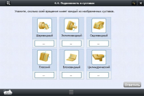 Интерактивные курсы. Биология 8 класс. Расширенный - «globural.ru» - Нижний Тагил