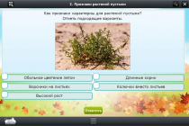 Интерактивные курсы. Окружающий мир 3 класс. Базовый - «globural.ru» - Нижний Тагил