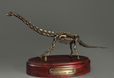 Модель скелета динозавра Brachiosaurus - «globural.ru» - Нижний Тагил