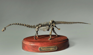 Модель скелета динозавра Diplodocus  (вариант 2) - «globural.ru» - Нижний Тагил