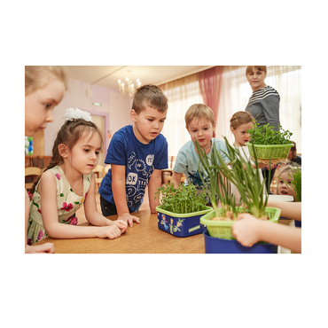 Обучающий комплект экологической направленности "Сити-фермер 2.0 Детский сад" 10 человек - «globural.ru» - Нижний Тагил