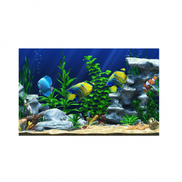 Интерактивный аттракционный комплекс "Водный мир" - «globural.ru» - Нижний Тагил