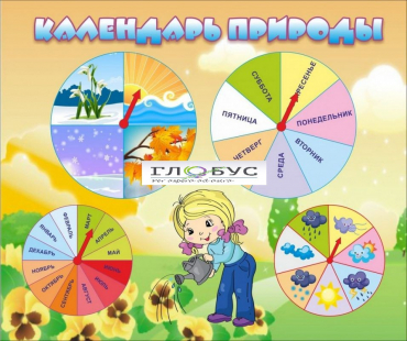Стенд "Календарь природы" (вариант 1) - «globural.ru» - Нижний Тагил