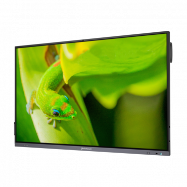 Интерактивный программно-аппаратный комплекс Geckotouch Interactive IP65GT-C в комплекте с настенным креплением - «globural.ru» - Нижний Тагил
